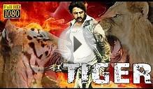 Tiger (2016) Full Hindi Dubbed Movie | South Indian Movies
